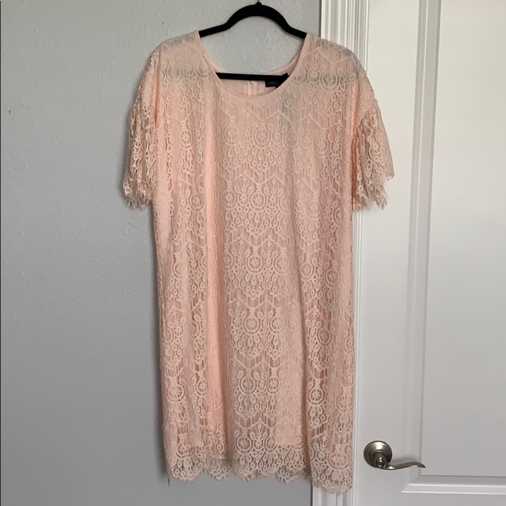NWT The Limited Soft Pink Lace Dress